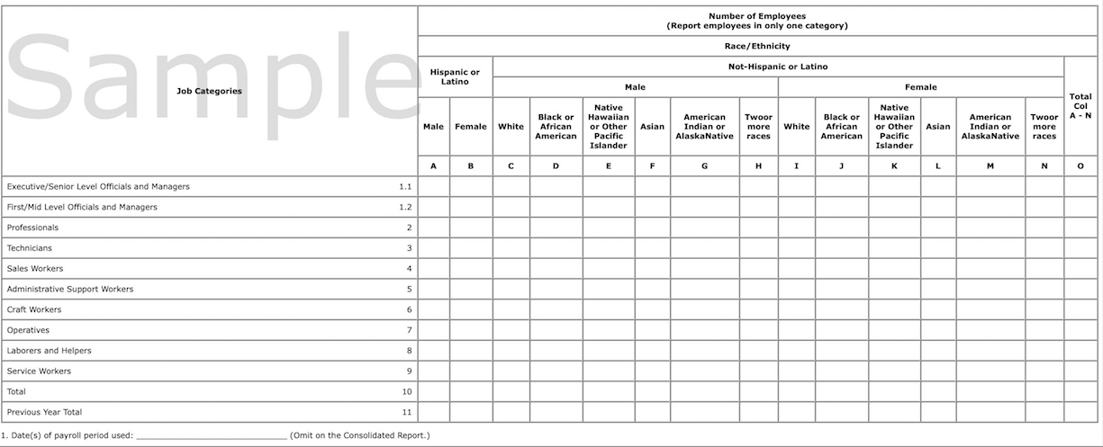 Eeo 1 Report Template