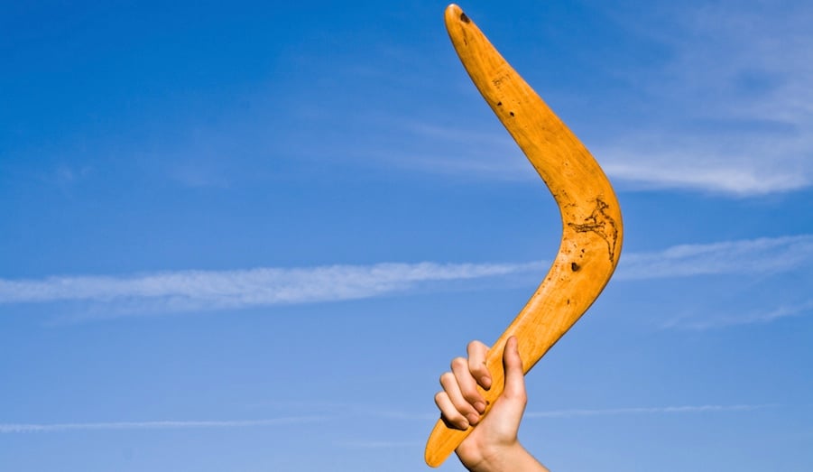 Back and Better Than Ever: The Case for 'Boomerang' Employees