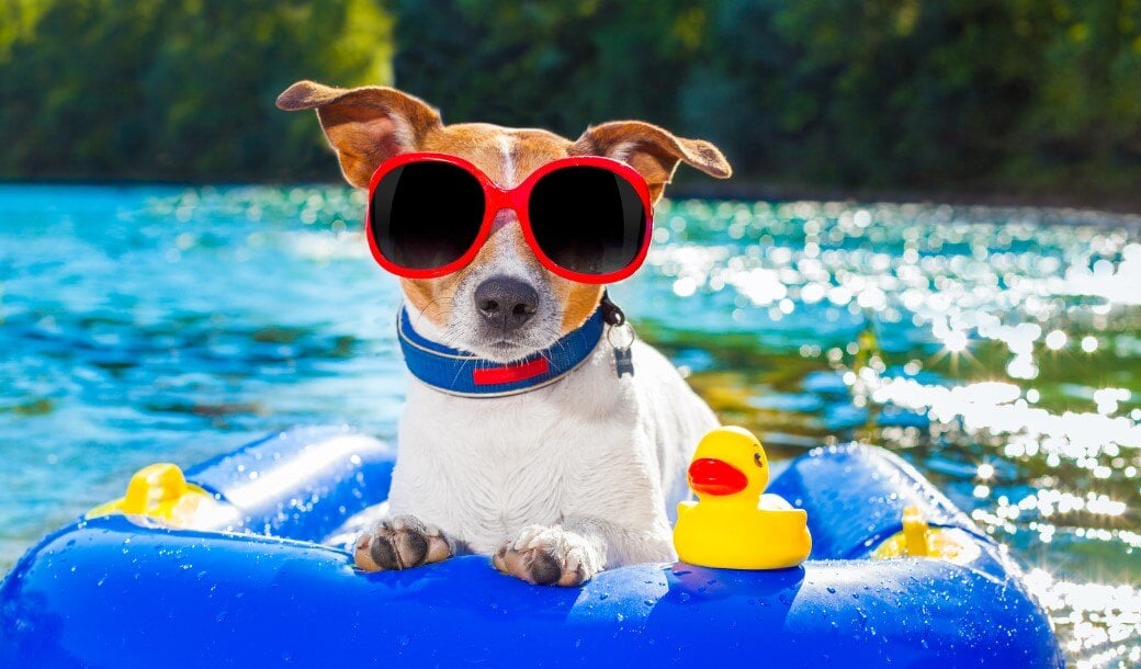 The Power of Sunshine: 12 Ways You Can Use Summertime To Boost Retention